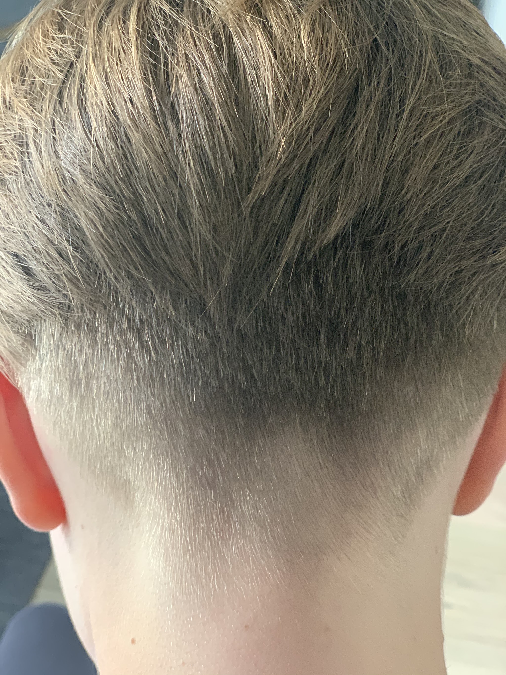 A short clipper cut with a close, tidy taper at the nape